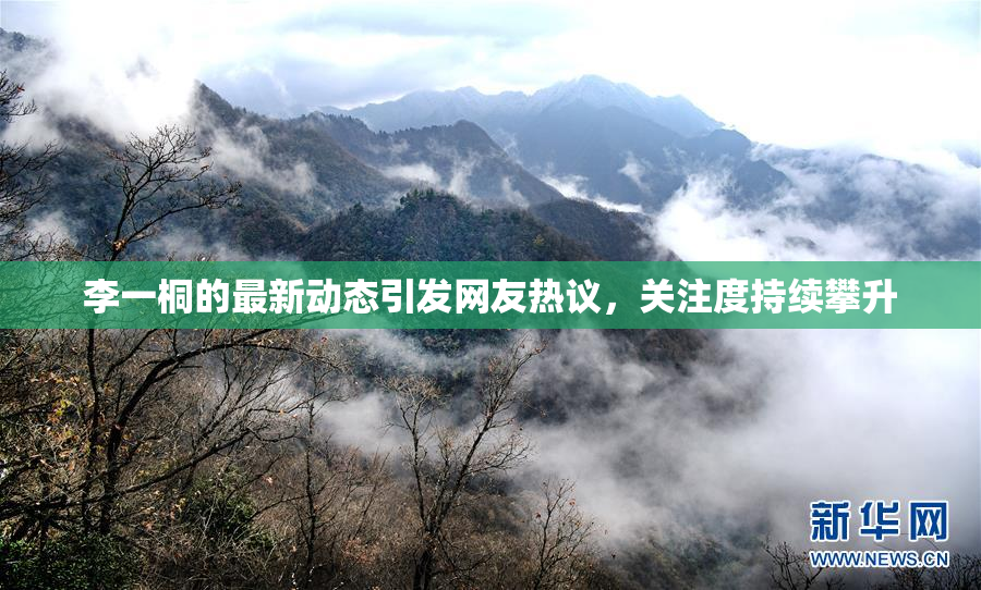 李一桐的最新动态引发网友热议，关注度持续攀升