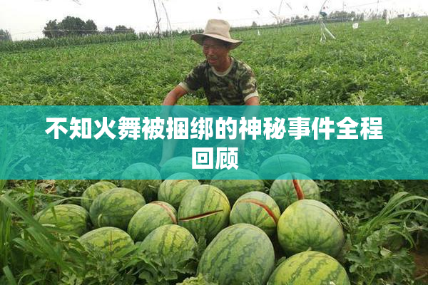 不知火舞被捆绑的神秘事件全程回顾