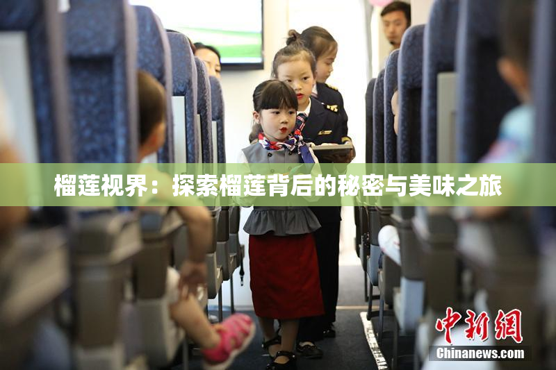 榴莲视界：探索榴莲背后的秘密与美味之旅