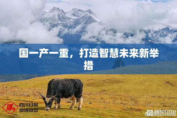 国一产一重，打造智慧未来新举措