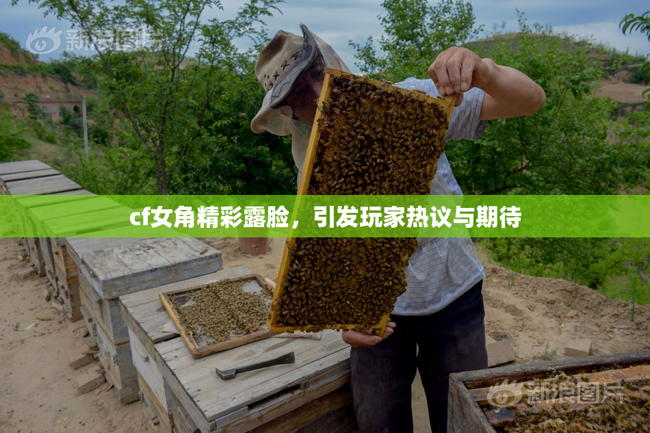 cf女角精彩露脸，引发玩家热议与期待