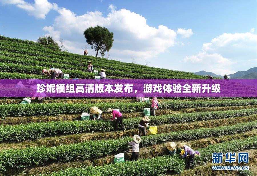 珍妮模组高清版本发布，游戏体验全新升级