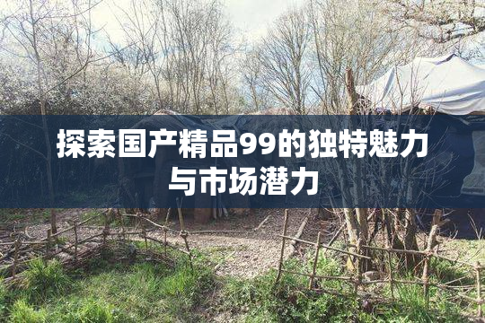 探索国产精品99的独特魅力与市场潜力