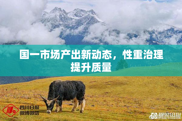 国一市场产出新动态，性重治理提升质量