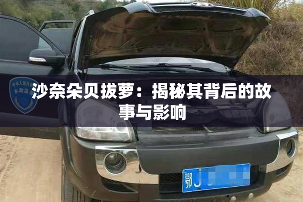 沙奈朵贝拔萝：揭秘其背后的故事与影响