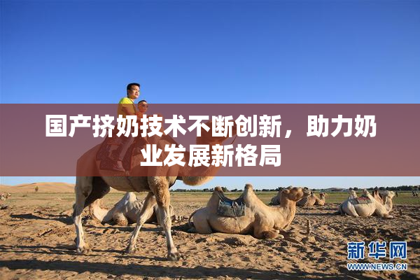 国产挤奶技术不断创新，助力奶业发展新格局