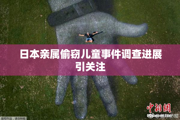 日本亲属偷窃儿童事件调查进展引关注