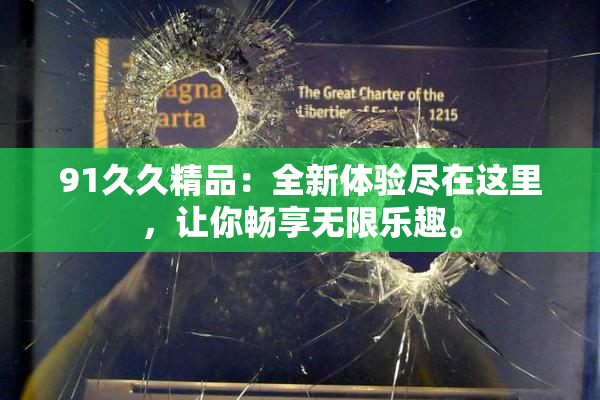 91久久精品：全新体验尽在这里，让你畅享无限乐趣。
