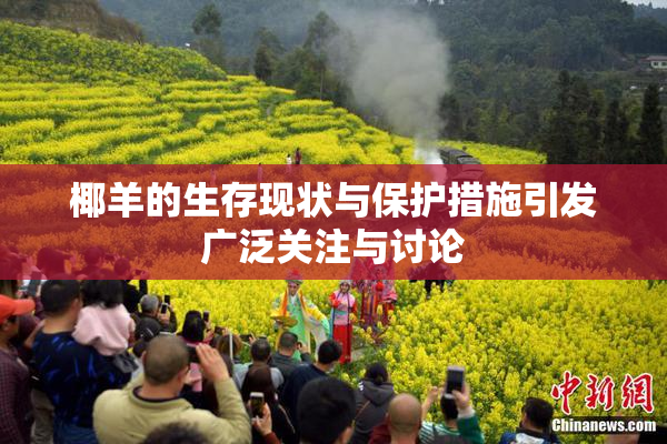 椰羊的生存现状与保护措施引发广泛关注与讨论
