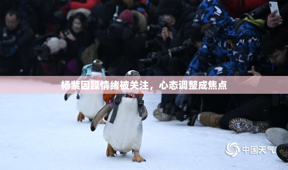 杨紫因躁情绪被关注，心态调整成焦点
