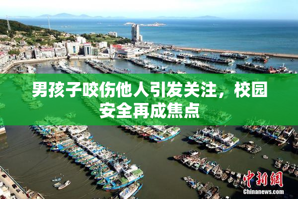 男孩子咬伤他人引发关注，校园安全再成焦点