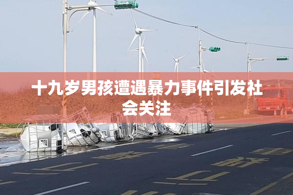 十九岁男孩遭遇暴力事件引发社会关注