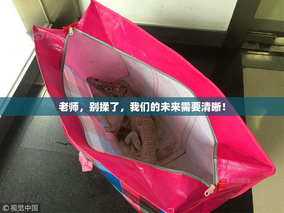 老师，别揉了，我们的未来需要清晰！