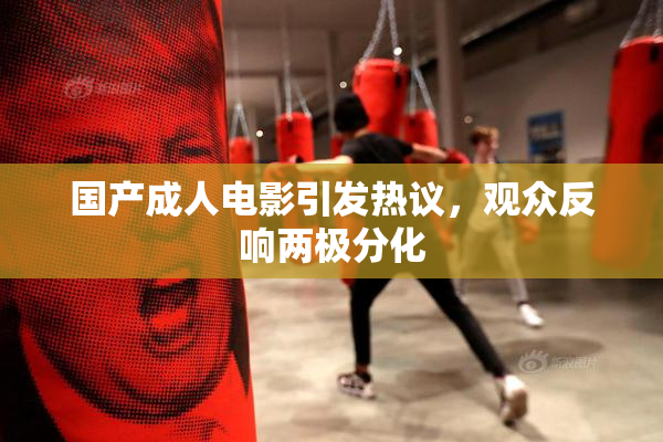 国产成人电影引发热议，观众反响两极分化