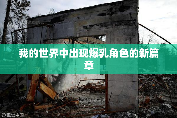 我的世界中出现爆乳角色的新篇章