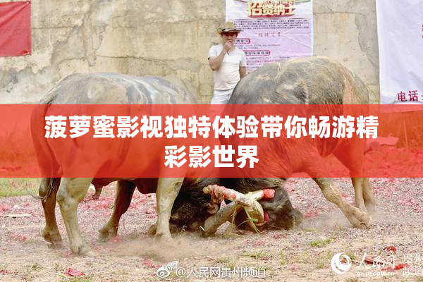 菠萝蜜影视独特体验带你畅游精彩影世界
