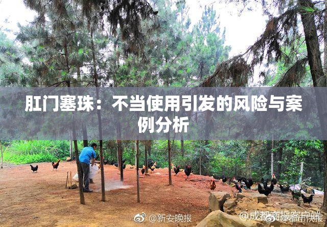 肛门塞珠：不当使用引发的风险与案例分析