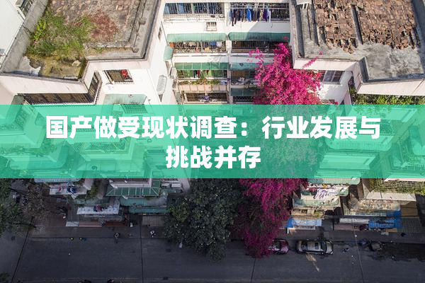 国产做受现状调查：行业发展与挑战并存