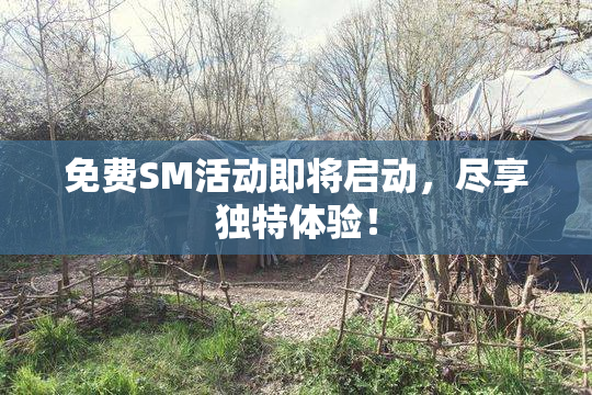 免费SM活动即将启动，尽享独特体验！