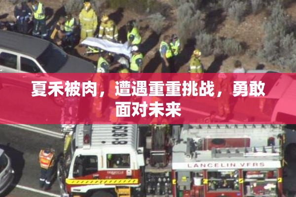 夏禾被肉，遭遇重重挑战，勇敢面对未来