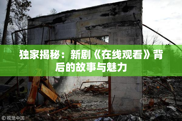 独家揭秘：新剧《在线观看》背后的故事与魅力