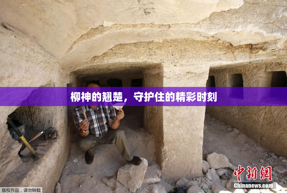 柳神的翘楚，守护住的精彩时刻