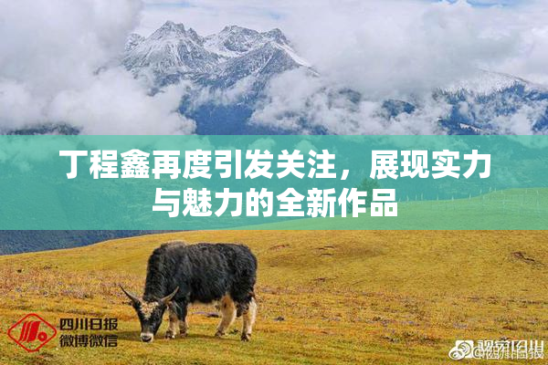 丁程鑫再度引发关注，展现实力与魅力的全新作品