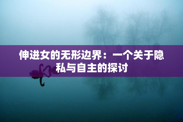 伸进女的无形边界：一个关于隐私与自主的探讨