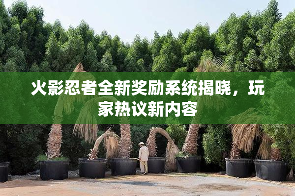 火影忍者全新奖励系统揭晓，玩家热议新内容