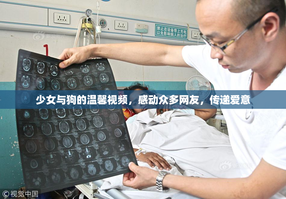 少女与狗的温馨视频，感动众多网友，传递爱意