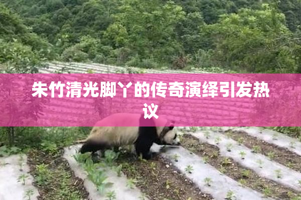 朱竹清光脚丫的传奇演绎引发热议