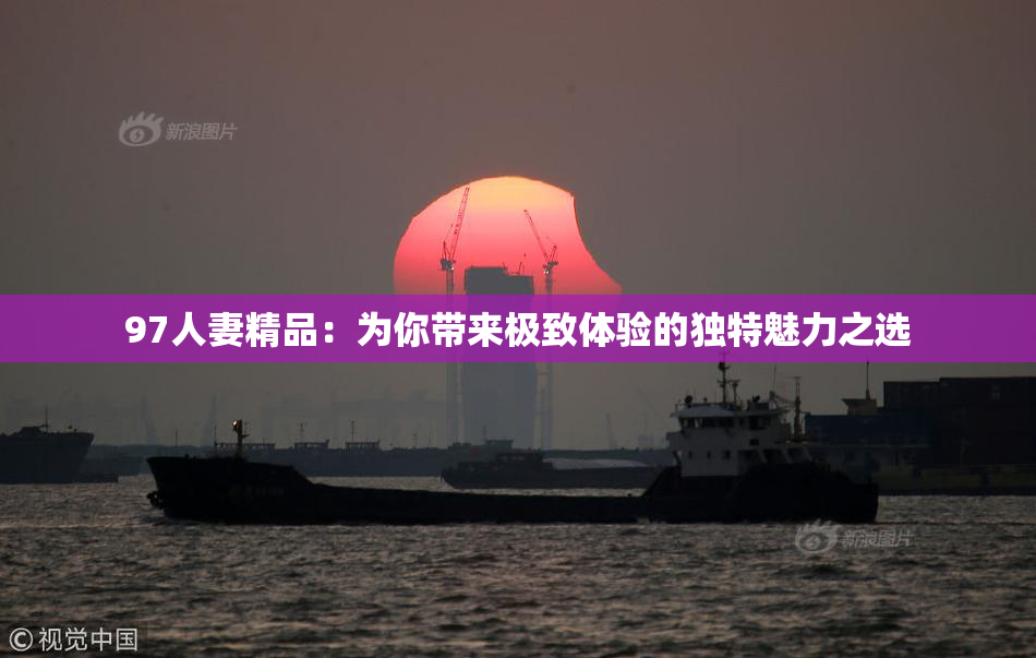 97人妻精品：为你带来极致体验的独特魅力之选