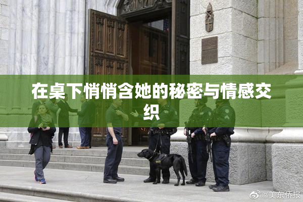 在桌下悄悄含她的秘密与情感交织