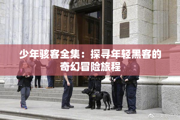 少年骇客全集：探寻年轻黑客的奇幻冒险旅程
