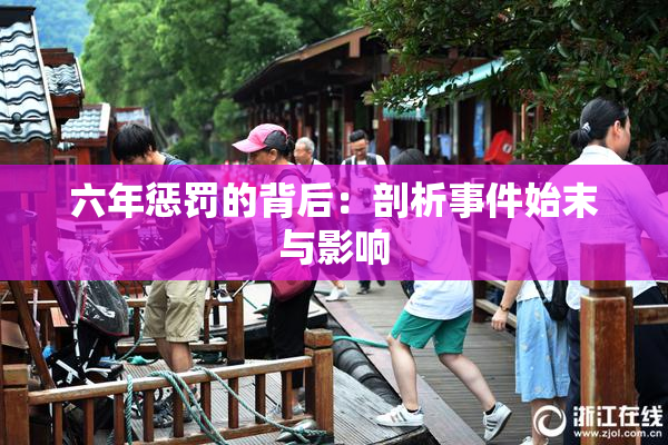 六年惩罚的背后：剖析事件始末与影响