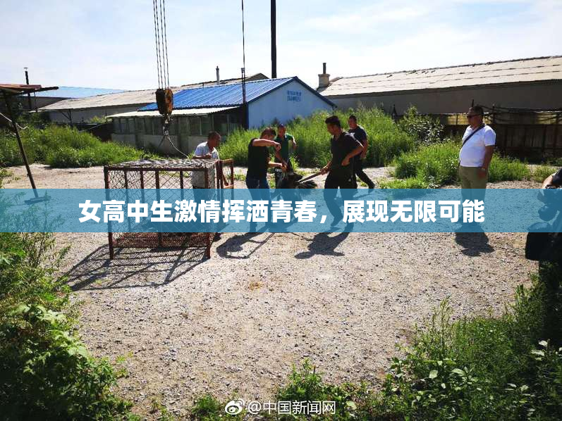 女高中生激情挥洒青春，展现无限可能