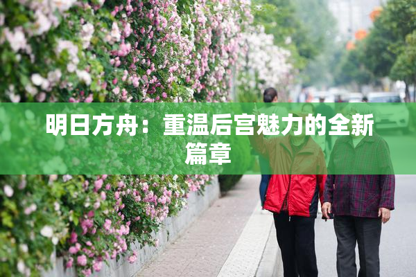 明日方舟：重温后宫魅力的全新篇章