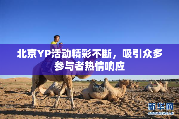 北京YP活动精彩不断，吸引众多参与者热情响应