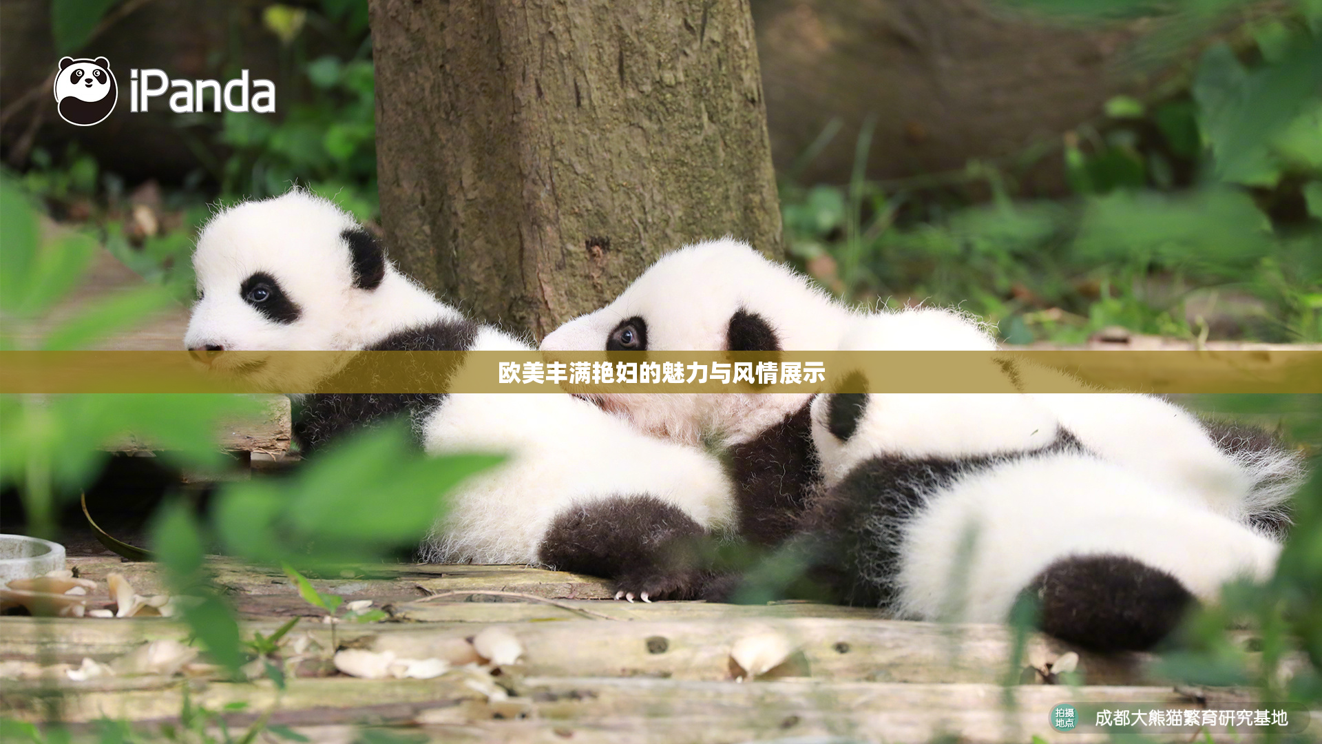 欧美丰满艳妇的魅力与风情展示