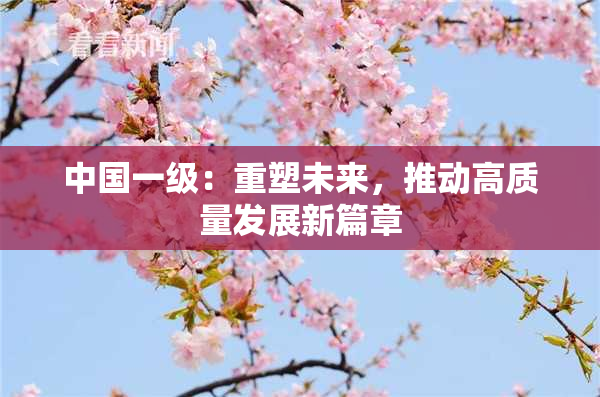 中国一级：重塑未来，推动高质量发展新篇章