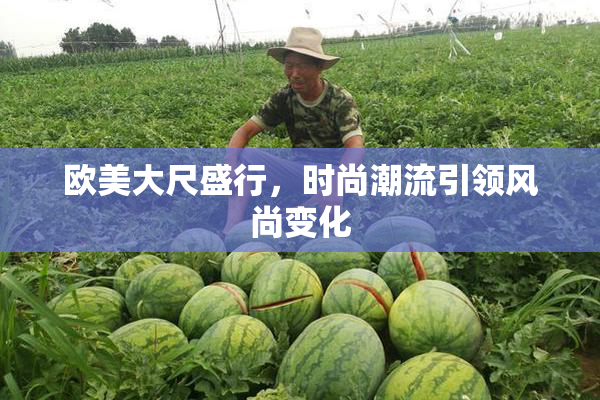 欧美大尺盛行，时尚潮流引领风尚变化