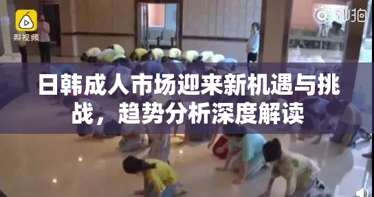 日韩成人市场迎来新机遇与挑战，趋势分析深度解读
