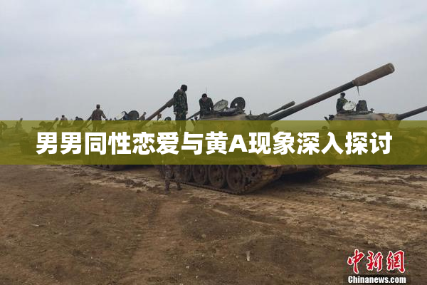 男男同性恋爱与黄A现象深入探讨