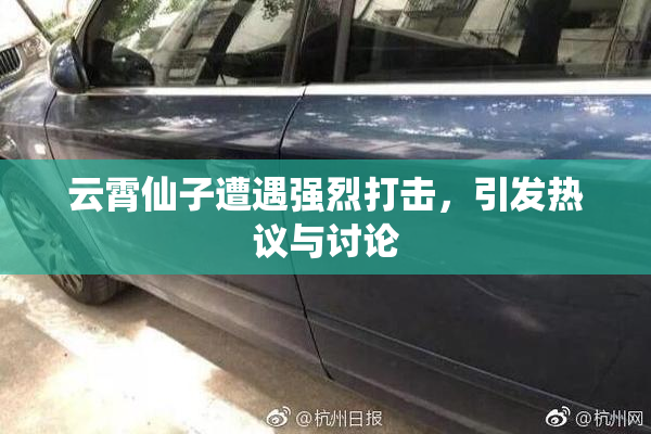 云霄仙子遭遇强烈打击，引发热议与讨论