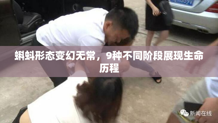 蝌蚪形态变幻无常，9种不同阶段展现生命历程