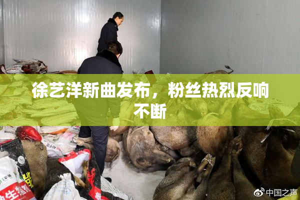 徐艺洋新曲发布，粉丝热烈反响不断