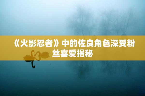 《火影忍者》中的佐良角色深受粉丝喜爱揭秘