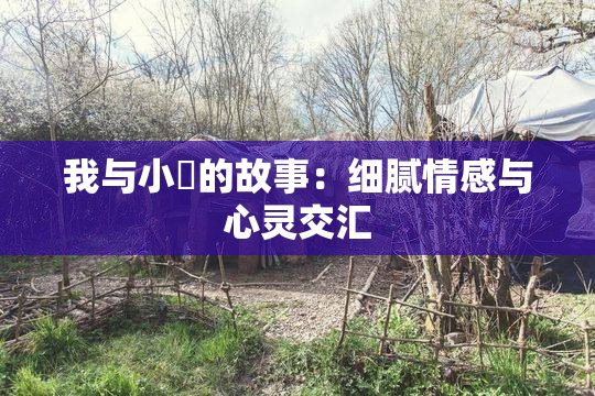 我与小娻的故事：细腻情感与心灵交汇