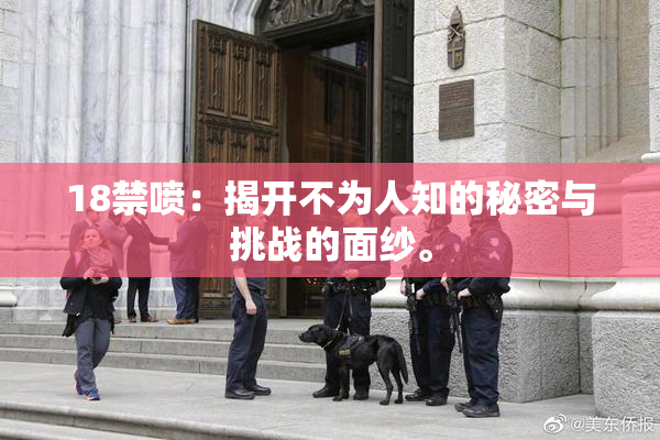 18禁喷：揭开不为人知的秘密与挑战的面纱。