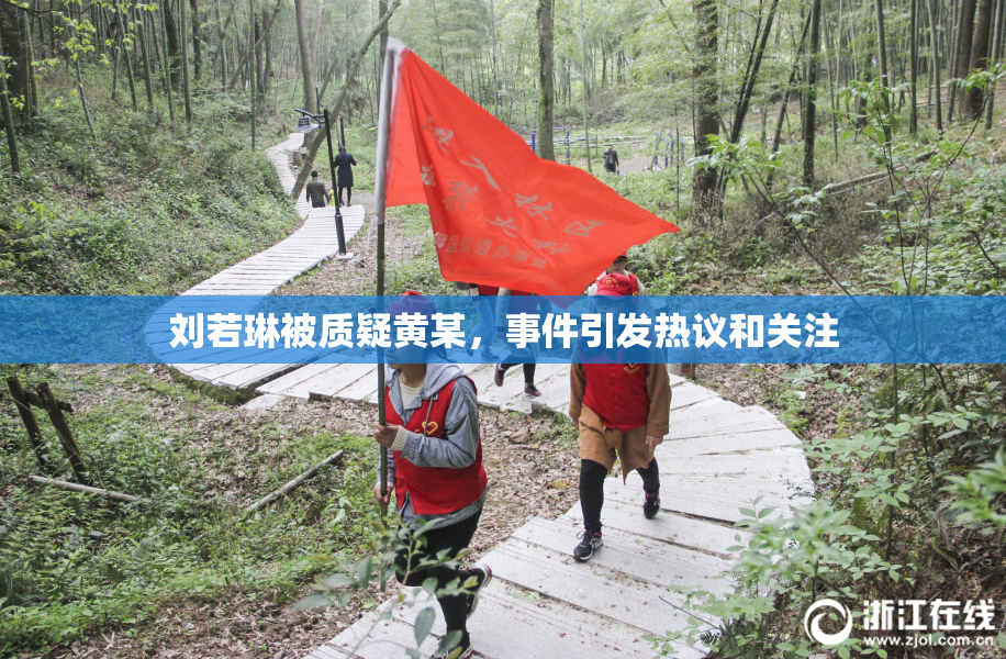刘若琳被质疑黄某，事件引发热议和关注